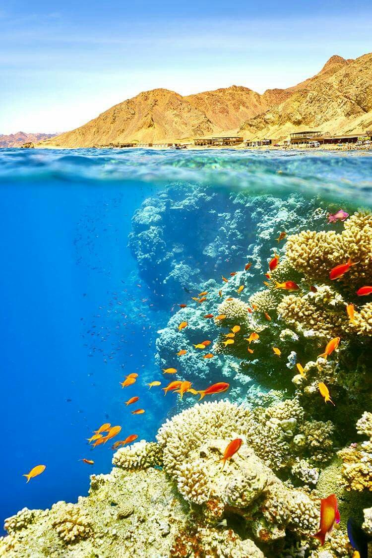 Sharm El-Shiekh